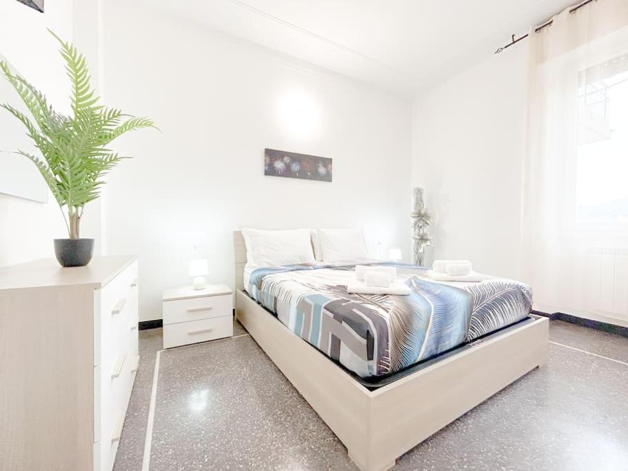 Elegant Apartment - Wifi - Smart Tv - Netflix جنوة المظهر الخارجي الصورة